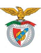 https://img.miniopshk.com/img/football/team/13d8d22b32e0803f939082416da63541.png